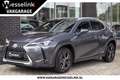 Lexus UX 250h Executive Line - leder | Head up display Gris - thumbnail 1