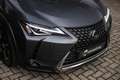 Lexus UX 250h Executive Line - leder | Head up display Gris - thumbnail 28