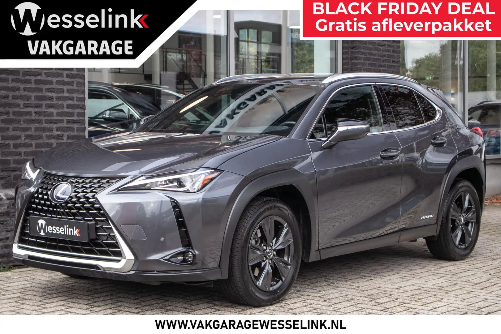 Lexus UX 250h AWD Executive Line Leder | Adaptive cruise | Head Grau - 1