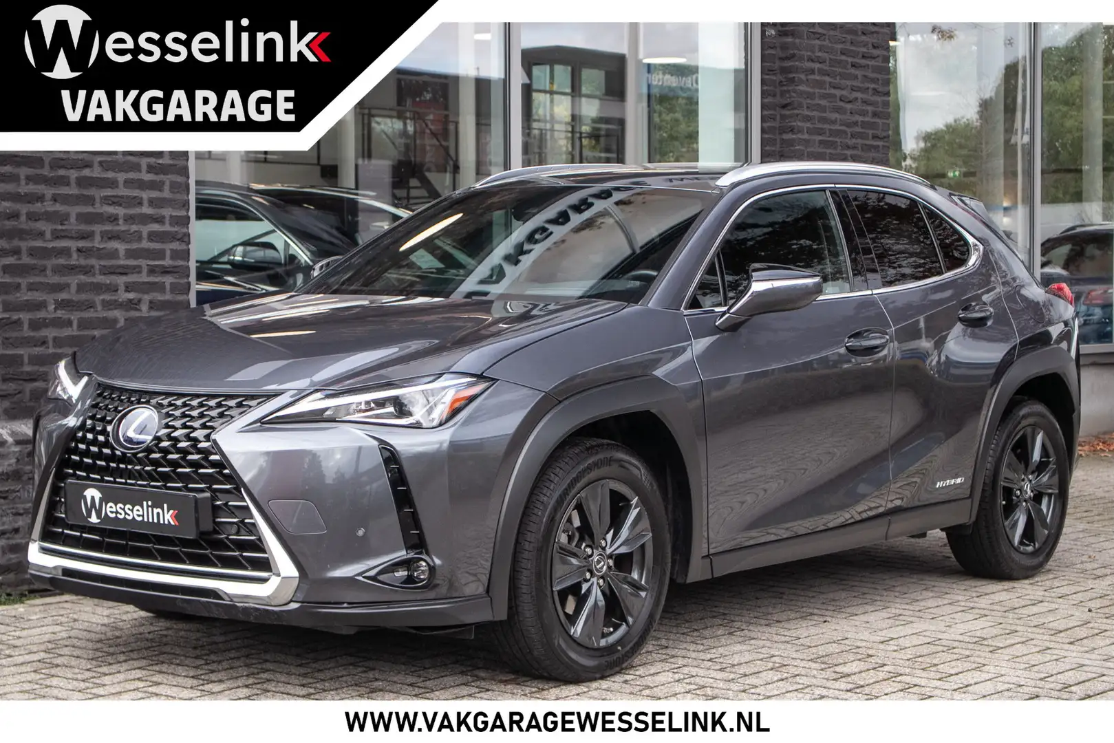 Lexus UX 250h AWD Executive Line Leder | Adaptive cruise | Head Gris - 1