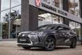 Lexus UX 250h Executive Line - leder | Head up display Gris - thumbnail 12