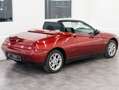 Alfa Romeo Spider Spider 3.0 12V --PERFETTA--UNICA--REG.ALFA ROMEO-- Rosso - thumbnail 3