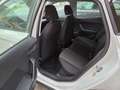 SEAT Arona Arona 1,0 Eco TSI Reference Edition Neues Modell Weiß - thumbnail 9