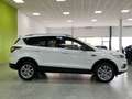 Ford Kuga 1.5 EcoB. Auto S&S Trend+ 4x2 120 Blanco - thumbnail 4