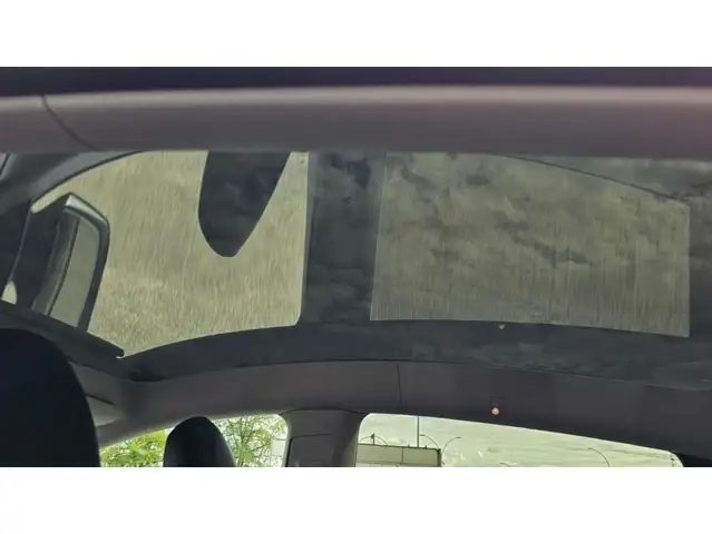 Tesla Model Y view 29