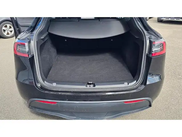 Tesla Model Y view 24