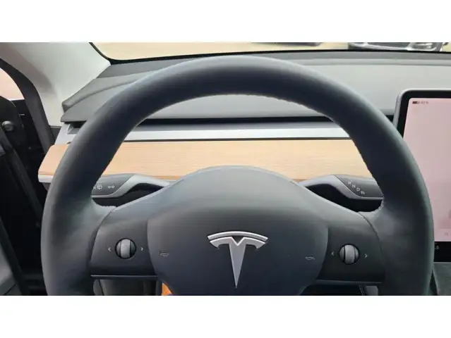 Tesla Model Y view 6