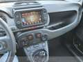Fiat Panda 1.0 firefly hybrid city cross s&s 70cv 5p.ti Bianco - thumbnail 16