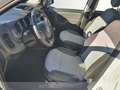 Fiat Panda 1.0 firefly hybrid city cross s&s 70cv 5p.ti Bianco - thumbnail 11