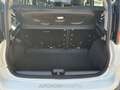 Fiat Panda 1.0 firefly hybrid city cross s&s 70cv 5p.ti Bianco - thumbnail 10