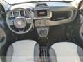 Fiat Panda 1.0 firefly hybrid city cross s&s 70cv 5p.ti Bianco - thumbnail 13