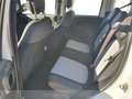 Fiat Panda 1.0 firefly hybrid city cross s&s 70cv 5p.ti Bianco - thumbnail 12