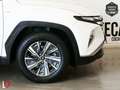 Hyundai TUCSON 1.6 CRDI HYBRID 48V BUSINESS 136 Bianco - thumbnail 12