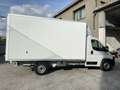 Citroen Jumper Heavy 35L4 180cv Furgone in lega Weiß - thumbnail 7