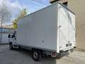Citroen Jumper Heavy 35L4 180cv Furgone in lega Fehér - thumbnail 5