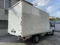 Citroen Jumper Heavy 35L4 180cv Furgone in lega Bianco - thumbnail 4