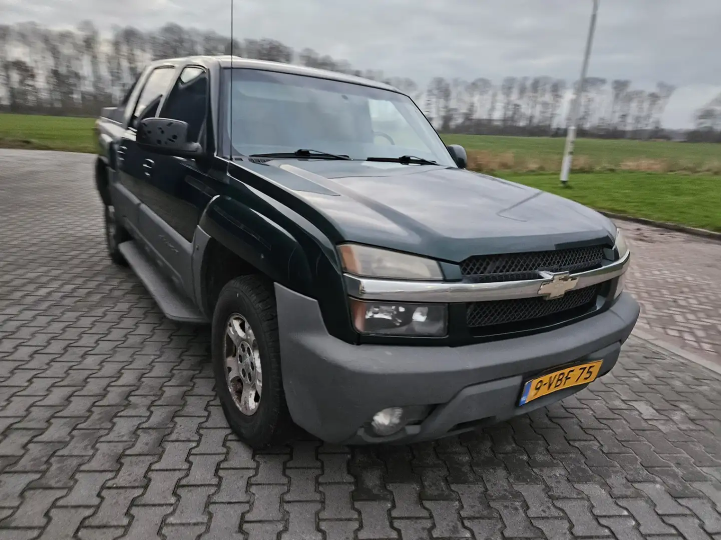 Chevrolet CHEVROLET Avalnahe Зелений - 2