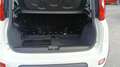 Fiat Panda 0.9 4x4TWINair turbo 85cv s&s Bianco - thumbnail 10