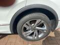 Volkswagen Tiguan 2.0 TDI DSG R-Line 4Motion Navi Pano LED Weiß - thumbnail 14