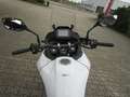 Honda Transalp XL 750 Wit - thumbnail 3