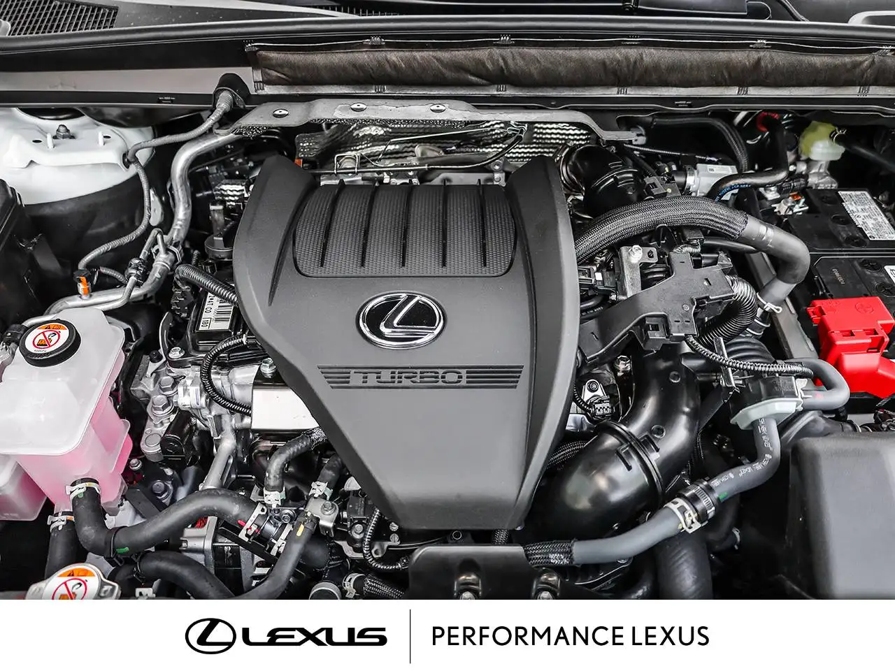 Lexus RX photo Lexus RX