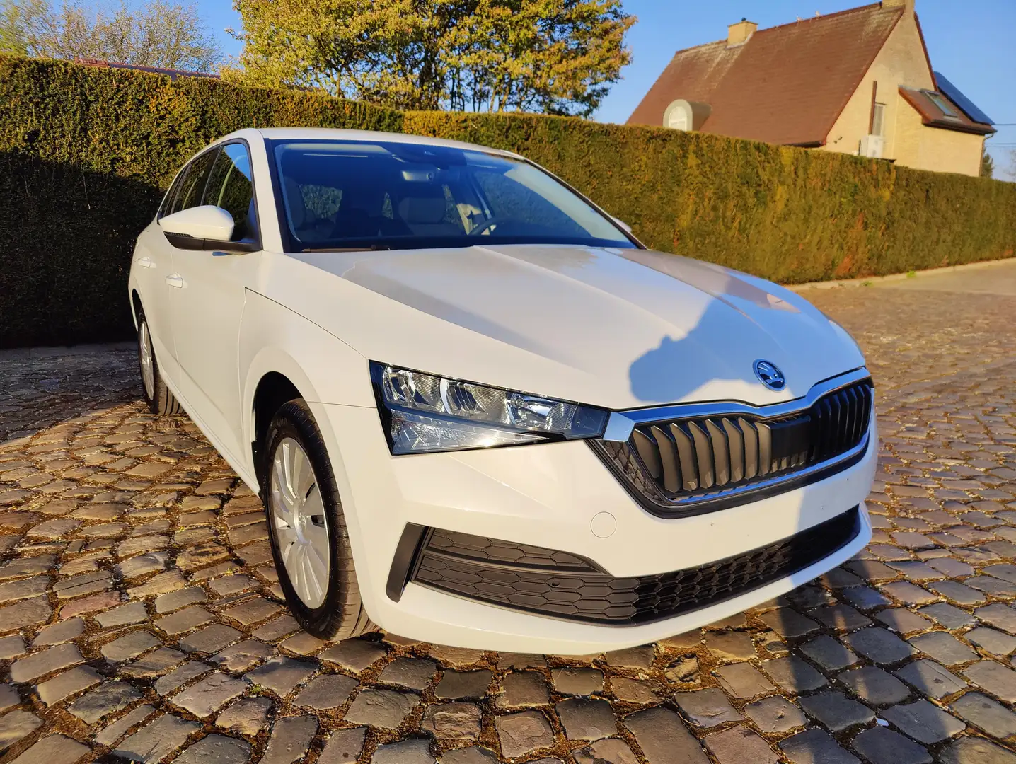 Skoda Scala 1.0 TSI Active (EU6AP) Wit - 1