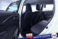 Suzuki Swift Dualjet Mild-Hybrid Comfort #ACC #Klima #Navi #... Vert - thumbnail 11