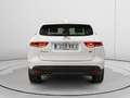 Jaguar F-Pace 2.0i4D Pure RWD 163 Blanco - thumbnail 3
