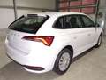 Skoda Scala 130 Jahre 1.0 TSI 116 PS DSG 5Jahre-Garantie-Ap... Weiß - thumbnail 4