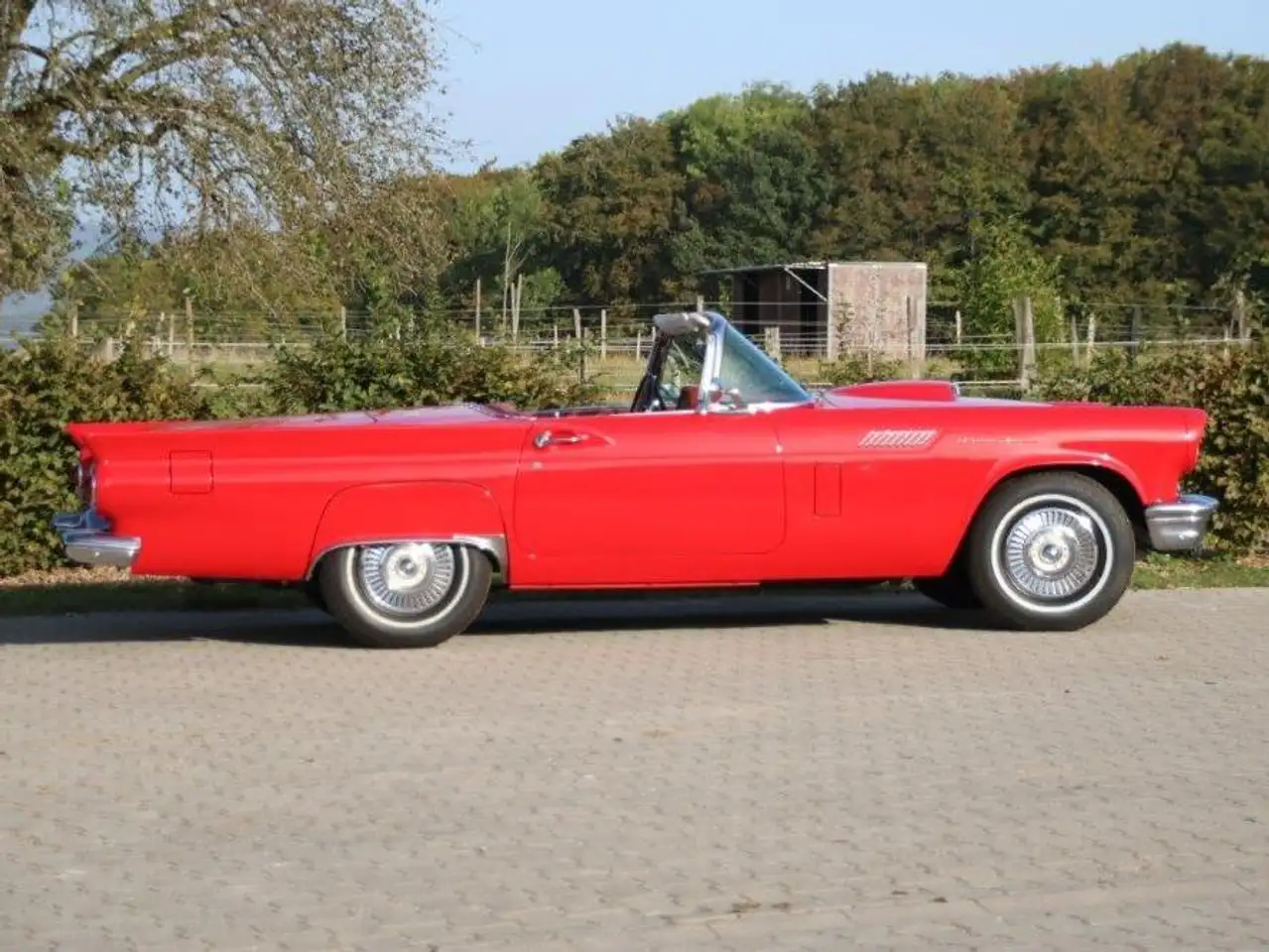 Ford Thunderbird, foto 3