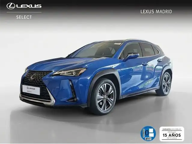 Lexus UX 300e Business