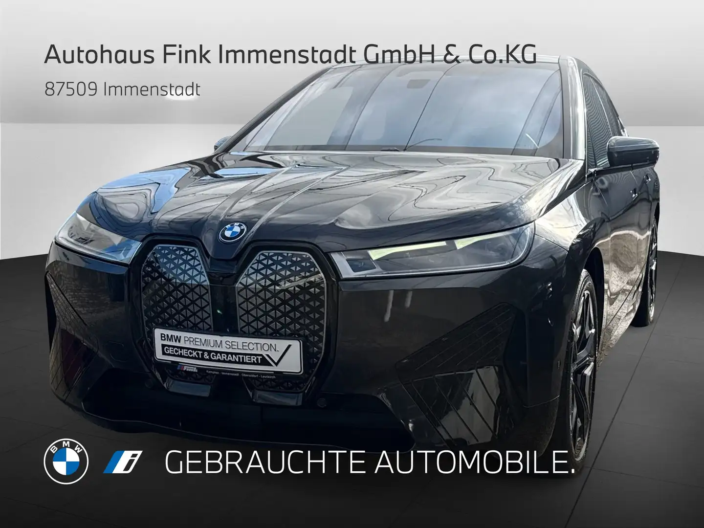 BMW iX xDrive40 Sportpaket Head-Up HK HiFi DAB LED Grau - 1