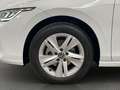 Volkswagen Golf Variant VIII Variant 1.5 TSI Life / LED Weiß - thumbnail 15