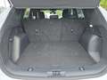 Ford Kuga 2,0 EcoBlue AWD ST-Line Aut. Weiß - thumbnail 13