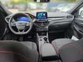 Ford Kuga 2,0 EcoBlue AWD ST-Line Aut. Weiß - thumbnail 8