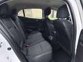 Renault Megane 1.2 TCe Energy Intens 74kW Blanco - thumbnail 6
