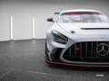Mercedes-Benz AMG GT BS Track Series | 1 of 55 Plateado - thumbnail 20