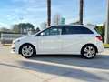 Mercedes-Benz B 180 - T246 d (cdi) Premium auto FL E6 Ok Neopatentati Bianco - thumbnail 2