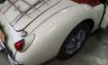 MG MGA 1500 état Concours Bílá - thumbnail 8