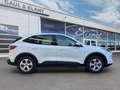 Ford Kuga Plug-In Hybrid Cool & Connect Weiß - thumbnail 9