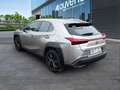 Lexus UX 250h Business 2WD Gris - thumbnail 6