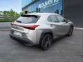 Lexus UX 250h Business 2WD Gris - thumbnail 4