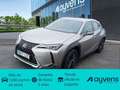 Lexus UX 250h Business 2WD Gris - thumbnail 1