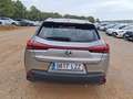 Lexus UX 250h Business 2WD - thumbnail 5