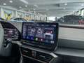 CUPRA Formentor 2.0 tsi 4drive 190cv dsg KM ZERO Gris - thumbnail 15