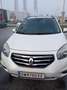 Renault Koleos Koleos dCi 150 4WD Bose Edition Aut. Bose Edition Weiß - thumbnail 3