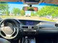 Lexus GS 300 GS 300 300h Business Line Grau - thumbnail 16