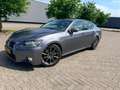 Lexus GS 300 GS 300 300h Business Line Grau - thumbnail 13