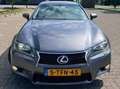 Lexus GS 300 GS 300 300h Business Line Grau - thumbnail 10