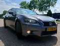 Lexus GS 300 GS 300 300h Business Line Grau - thumbnail 11